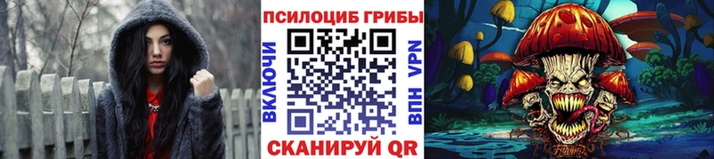 купить наркотик Ярцево Галлюциногенные грибы Magic Shrooms
